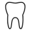 iNBDE Dental Anatomy