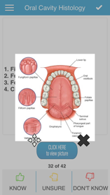 Cram Cards Anatomy Flashcard